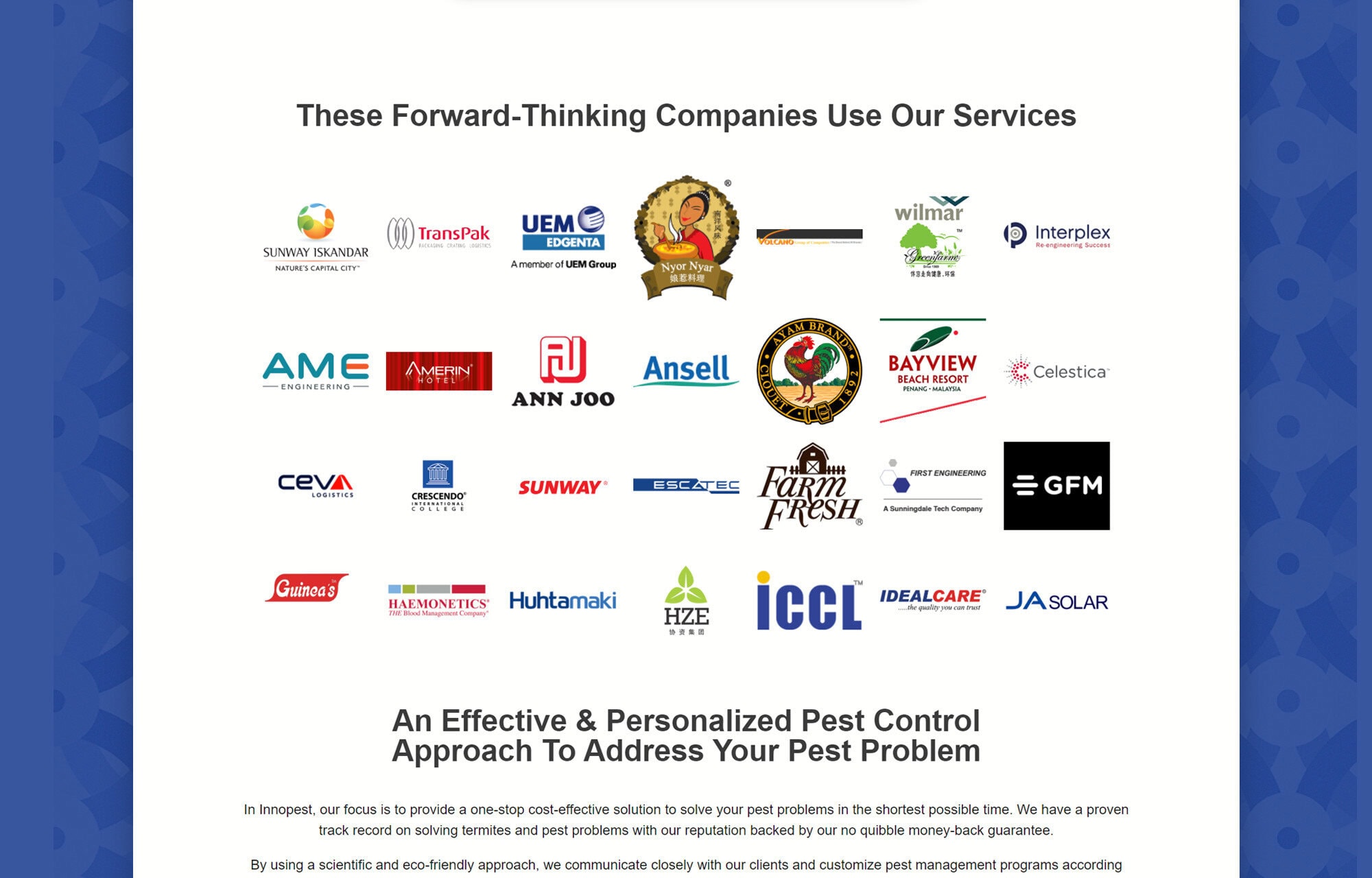 Innopest Portfolio - WebHero Technologies