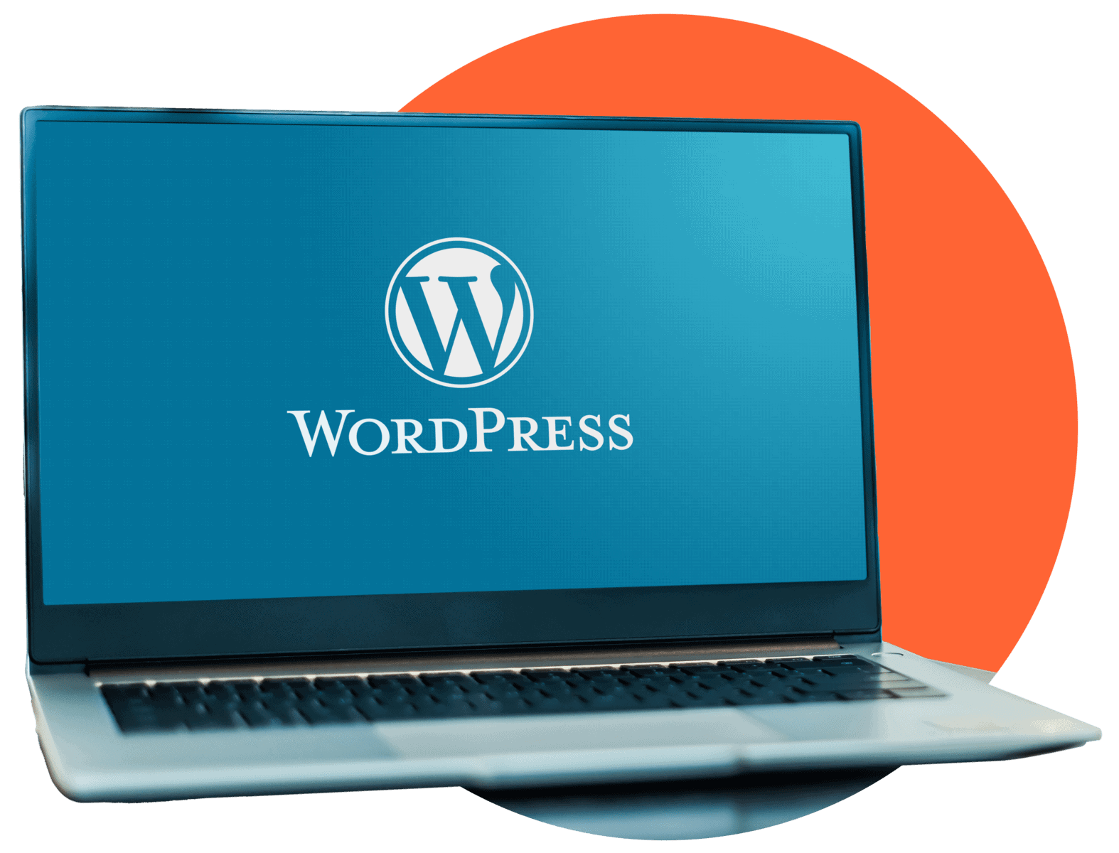 WordPress Hosting | WebHero Digital Marketing Agency