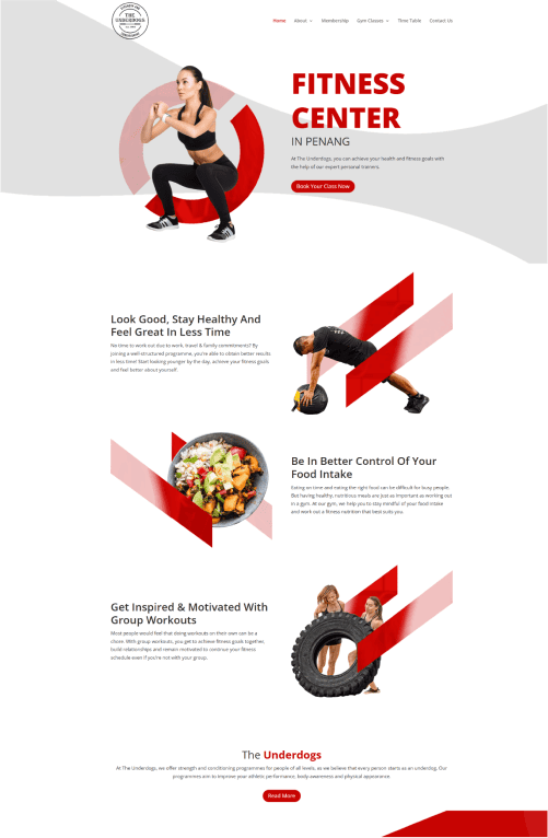 The Underdogs Portfolio - WebHero Technologies