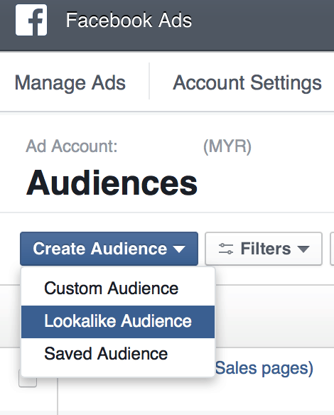 select to create similar audience