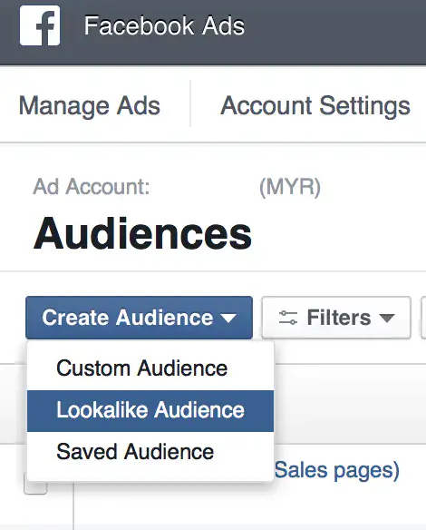 Facebook Ads Creating Lookalike Audience - Webhero Technologies